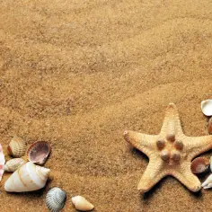 Piasek na plaży z muszlami i rozgwiazdą. Zastanawiasz się, ile waży metr sześcienny piachu?