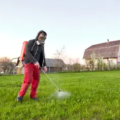 Mężczyzna w masce i czerwonych spodniach pryska na chwasty na zielonej łące. W tle dom i wieś.