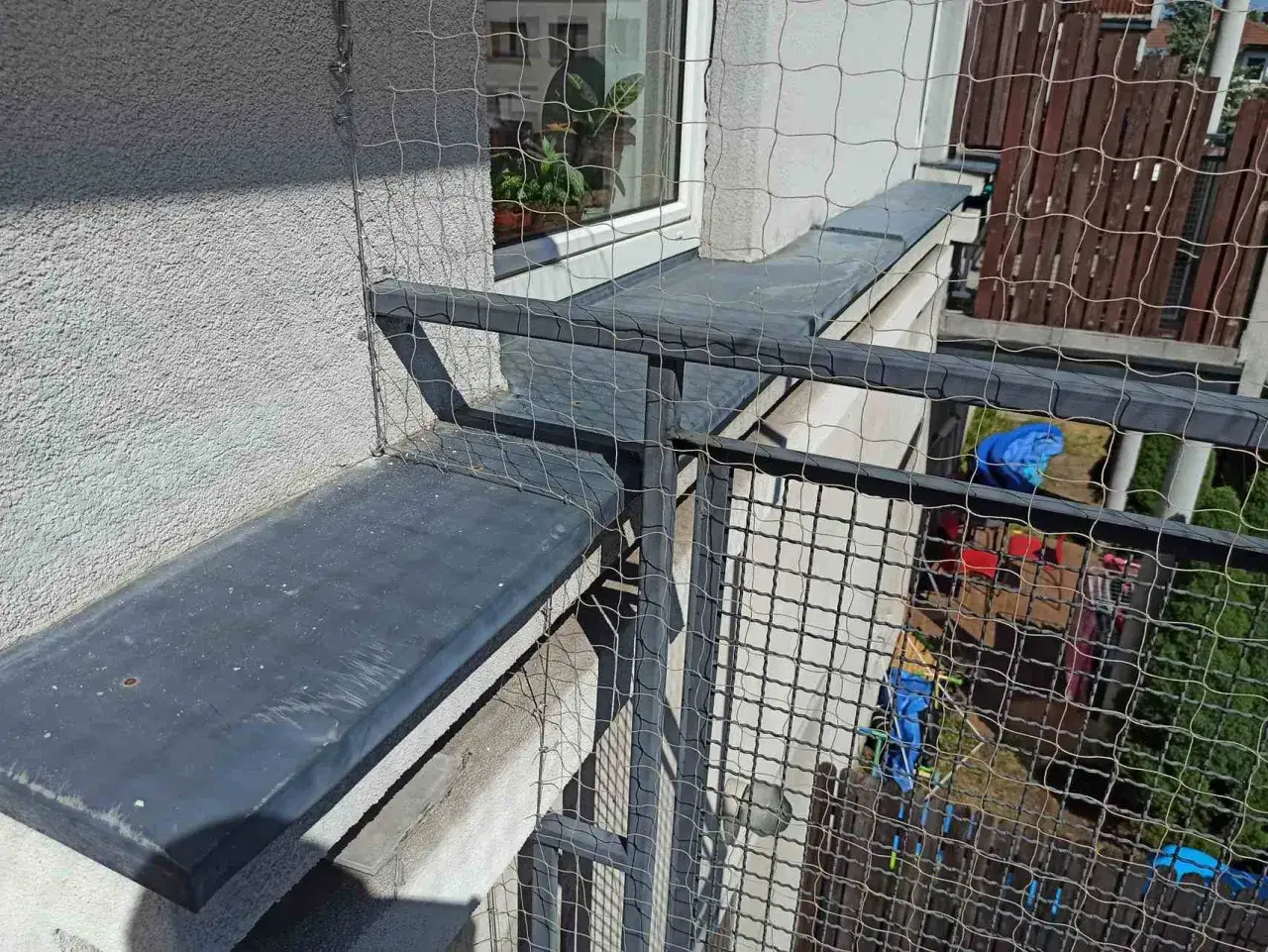 Rozporowa barierka na parapet zabezpiecza przed wypadnięciem, tworząc bezpieczną przestrzeń dla zwierząt.
